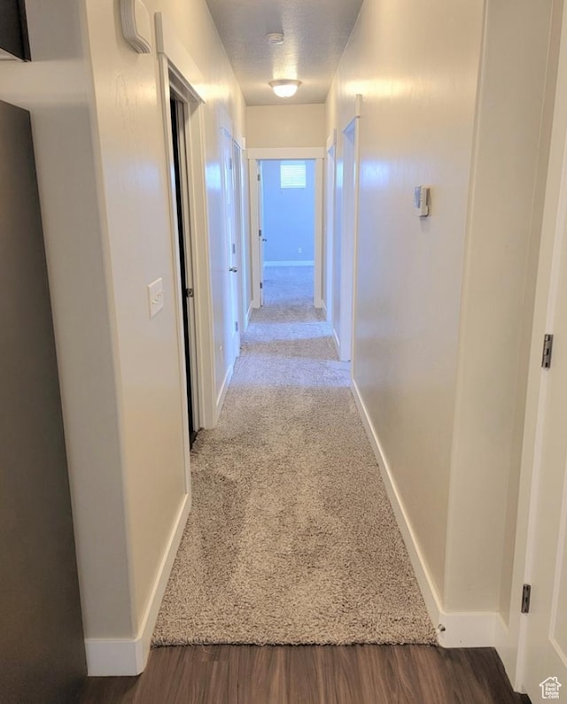 14643 S Mckellen Dr W Unit D302, Herriman, UT 84096 - hall featuring baseboards, carpet flooring, and wood finished floors