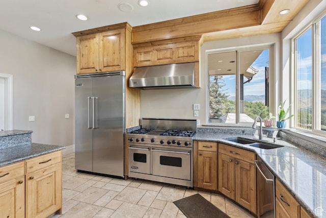 2333 S Falcon Way, Huntsville, UT 84317 - kitchen with high quality appliances, ventilation hood, a sink, recessed lighting, and dark stone counters