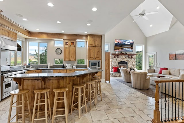 2333 S Falcon Way, Huntsville, UT 84317 - kitchen with stainless steel appliances, under cabinet range hood, a sink, a stone fireplace, and a kitchen breakfast bar
