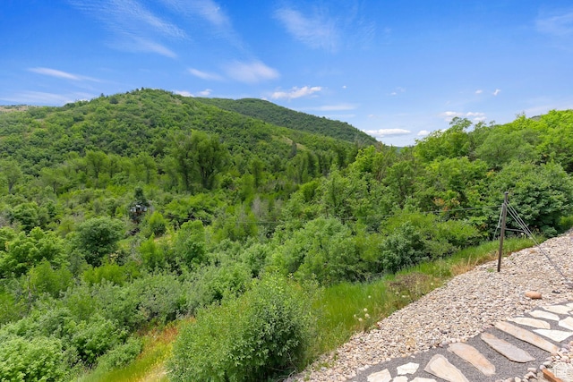 2333 S Falcon Way, Huntsville, UT 84317 - mountain view featuring a forest