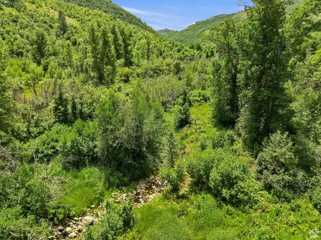 2333 S Falcon Way, Huntsville, UT 84317 - view of mountain backdrop with a heavily wooded area