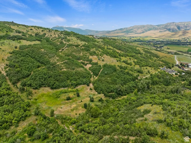 2333 S Falcon Way, Huntsville, UT 84317 - view of mountain background