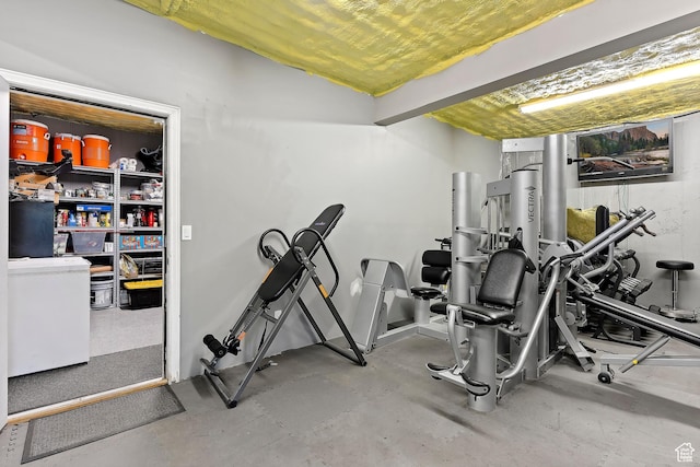 2333 S Falcon Way, Huntsville, UT 84317 - view of exercise room