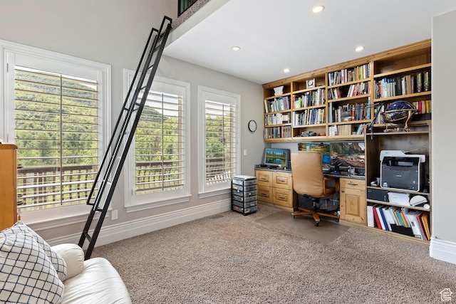 2333 S Falcon Way, Huntsville, UT 84317 - office featuring carpet floors, recessed lighting, and baseboards