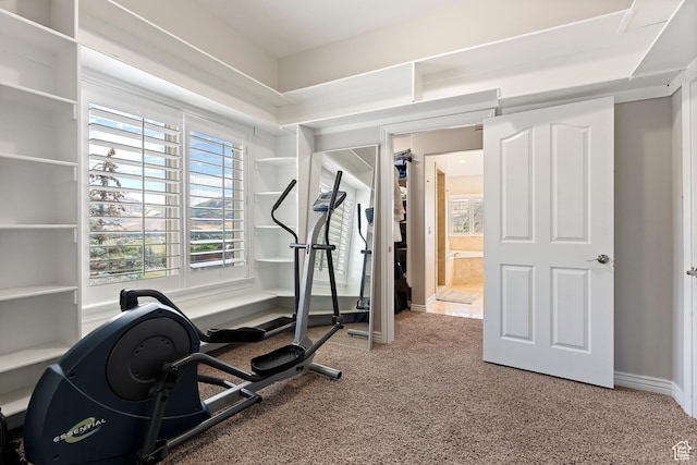 2333 S Falcon Way, Huntsville, UT 84317 - exercise area featuring carpet and baseboards