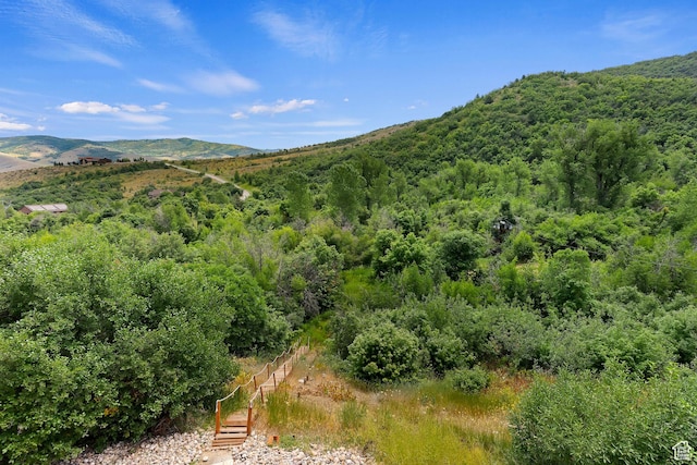 2333 S Falcon Way, Huntsville, UT 84317 - mountain view with a forest
