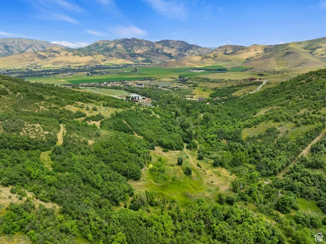 2333 S Falcon Way, Huntsville, UT 84317 - view of mountain background