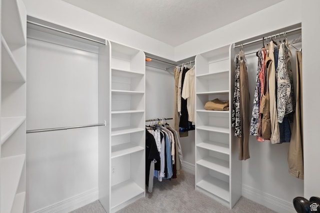 2859 W Country Classic Dr, Bluffdale, UT 84065 - walk in closet featuring carpet floors