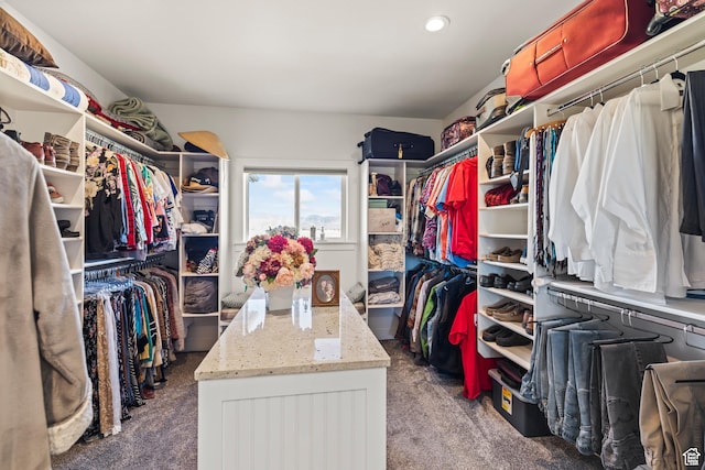 2201 S 380 W, Richfield, UT 84701 - spacious closet with carpet flooring