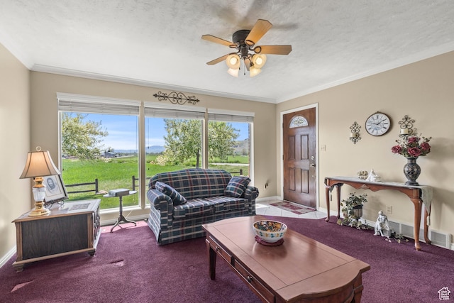 3647 Maple Creek Rd N, Franklin, ID 83237 - living room with carpet floors, healthy amount of natural light, ceiling fan, crown molding, and a textured ceiling