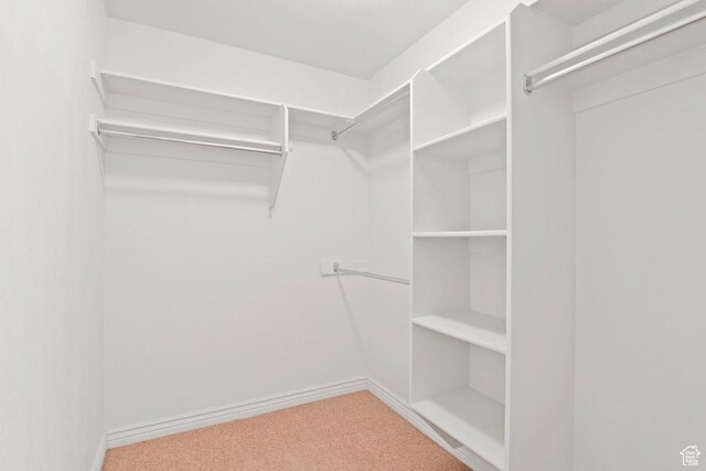 661 S 2220 W Unit 202, Pleasant Grove, UT 84062 - walk in closet featuring carpet floors