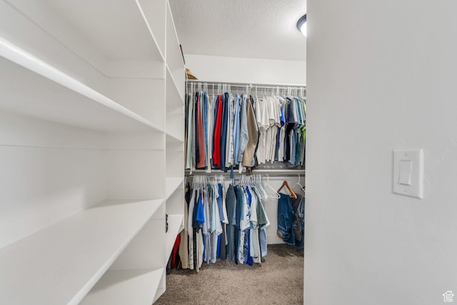 1565 E Smithfield Dr, Eagle Mountain, UT 84005 - spacious closet with carpet flooring