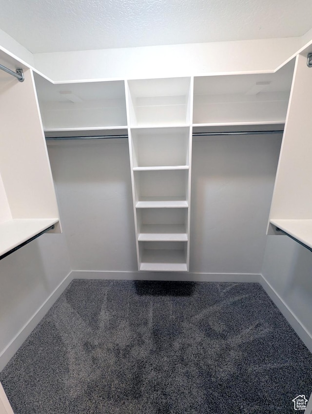 266 W 1010 S, Logan, UT 84321 - walk in closet with carpet floors