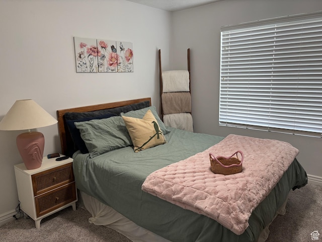 952 W 270 S Unit 202, Pleasant Grove, UT 84062 - view of carpeted bedroom
