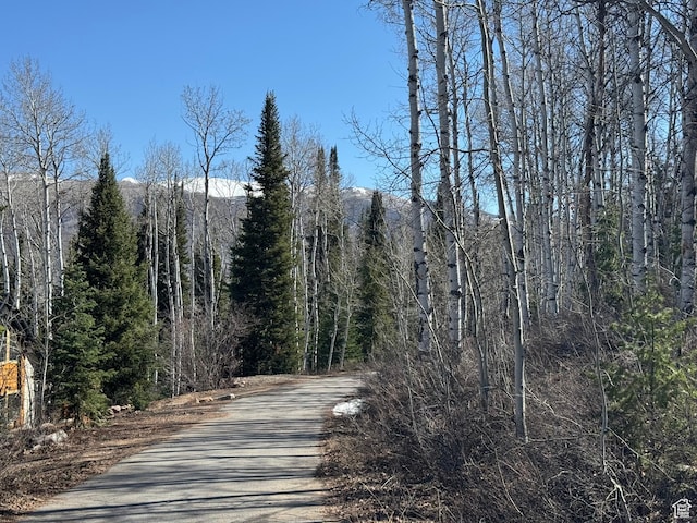 662 Red Fir Way Unit 662, Oakley, UT 84055 - photo 23