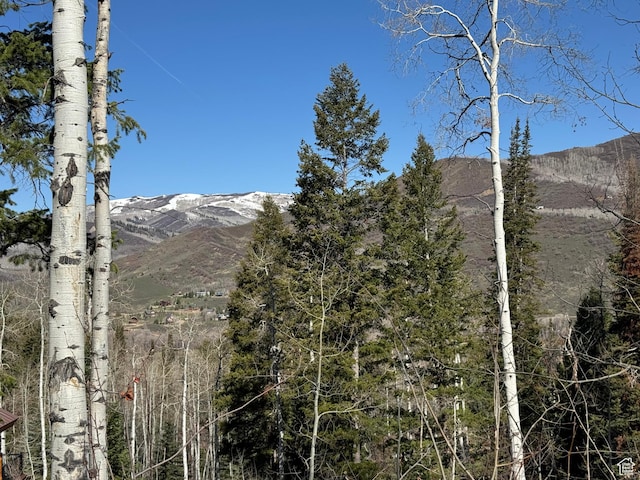 662 Red Fir Way Unit 662, Oakley, UT 84055 - photo 2
