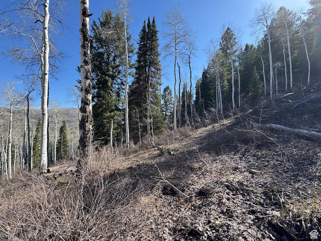 661 Red Fir Way Unit 661, Oakley, UT 84055