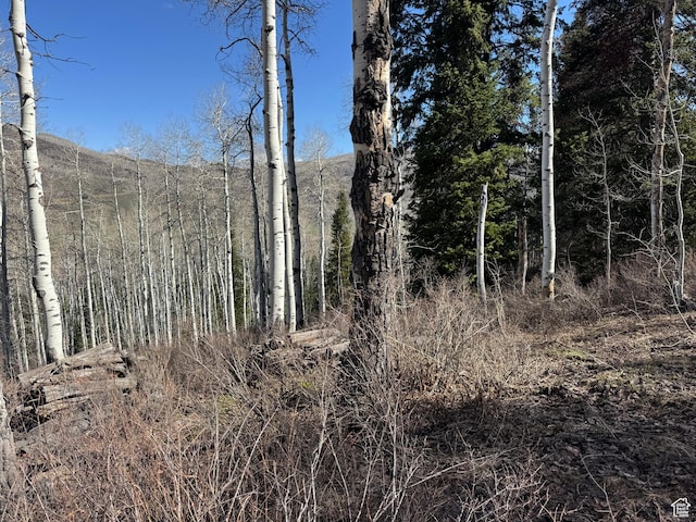 661 Red Fir Way Unit 661, Oakley, UT 84055
