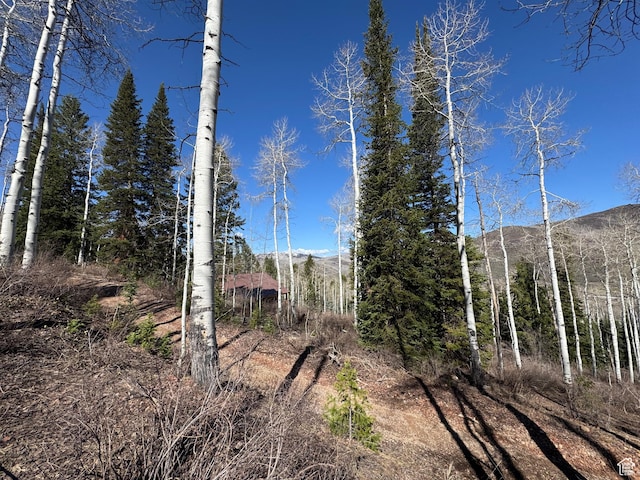 661 Red Fir Way Unit 661, Oakley, UT 84055