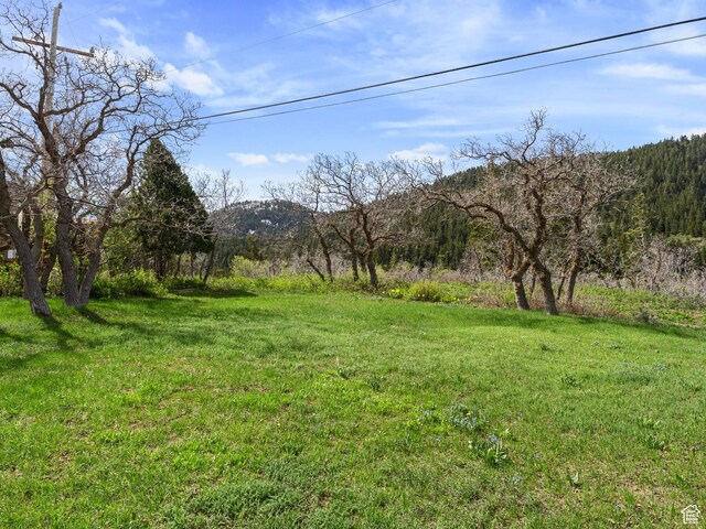 360 Crestview Dr, Park City, UT 84098 - view of green lawn with a mountain view