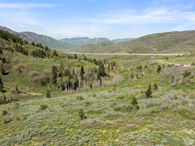 360 Crestview Dr, Park City, UT 84098 - view of mountain backdrop