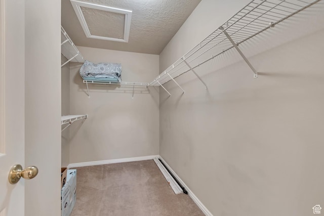 1524 W Napa Ave S, Bluffdale, UT 84065 - walk in closet featuring carpet
