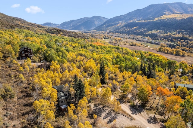 view of mountain backdrop with a forest