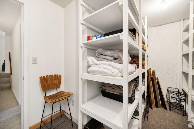 1729 N 1700 E, North Logan, UT 84341 - view of storage