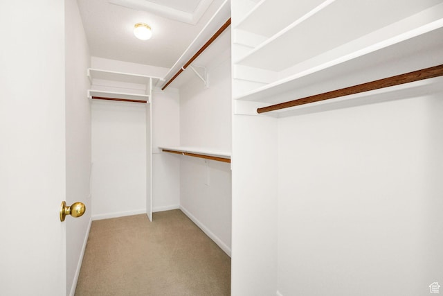 1729 N 1700 E, North Logan, UT 84341 - spacious closet featuring light carpet