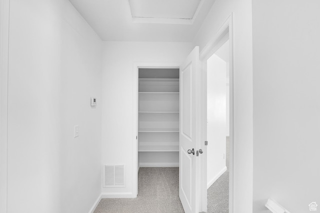 241 W 825 S Unit 305, Willard, UT 84340 - spacious closet featuring carpet and attic access