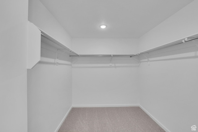 241 W 825 S Unit 305, Willard, UT 84340 - spacious closet featuring carpet floors
