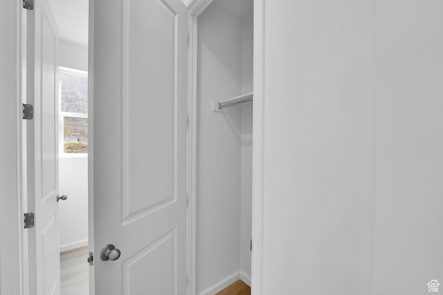 241 W 825 S Unit 305, Willard, UT 84340 - walk in closet with light wood-style flooring