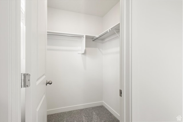 3457 S 3100 W Unit 174, West Haven, UT 84401 - spacious closet with carpet flooring