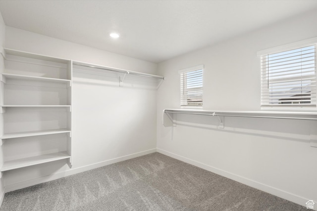 3457 S 3100 W Unit 174, West Haven, UT 84401 - spacious closet with carpet flooring