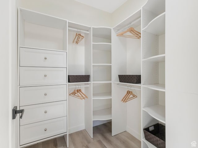 walk in closet with light wood-style flooring