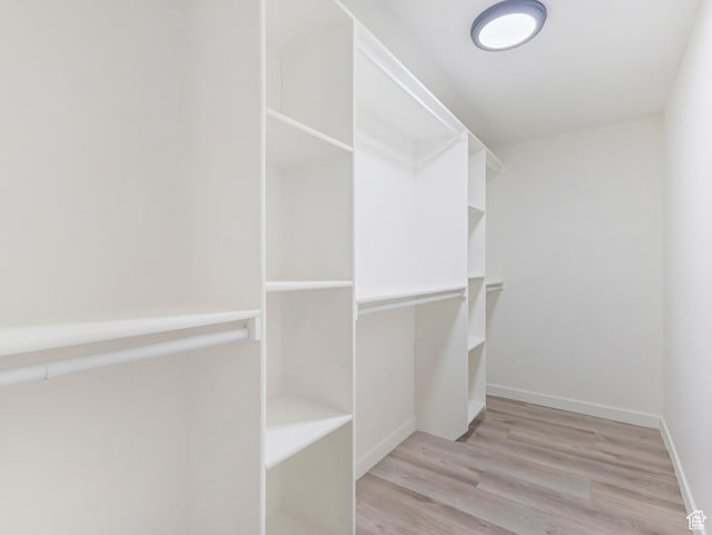 spacious closet featuring light wood-style flooring