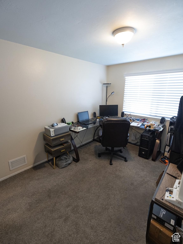 4318 S 1100 W Unit 34C, Salt Lake City, UT 84123 - office featuring carpet flooring