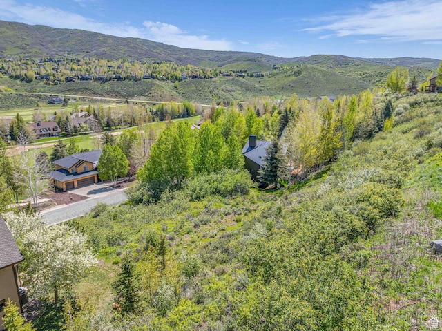 3161 Homestead Rd, Park City, UT 84098 - photo 24