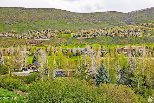 3161 Homestead Rd, Park City, UT 84098 - photo 2