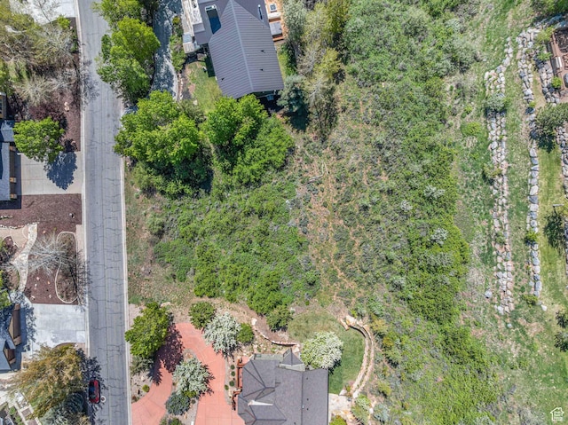 3161 Homestead Rd, Park City, UT 84098 - photo 31