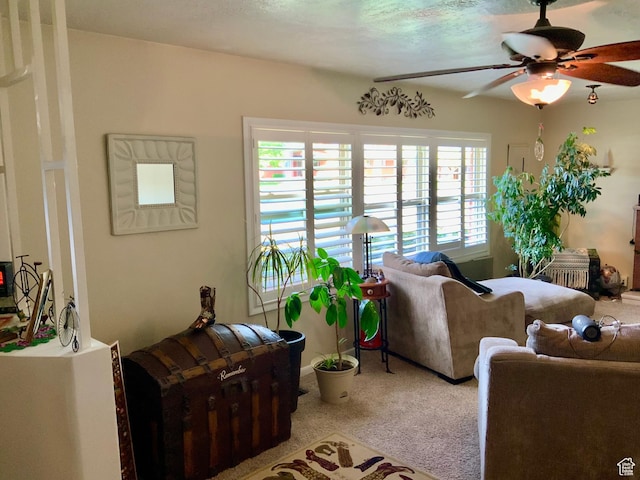 111 W 570 N, Richfield, UT 84701 - carpeted living room featuring ceiling fan