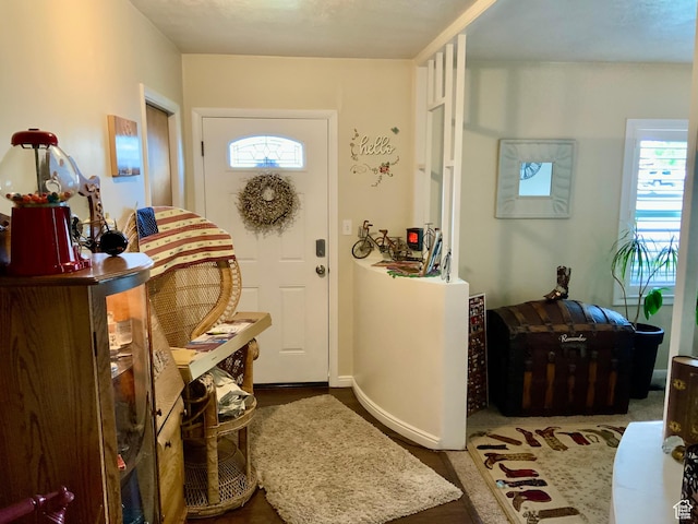 111 W 570 N, Richfield, UT 84701 - entryway featuring wood finished floors