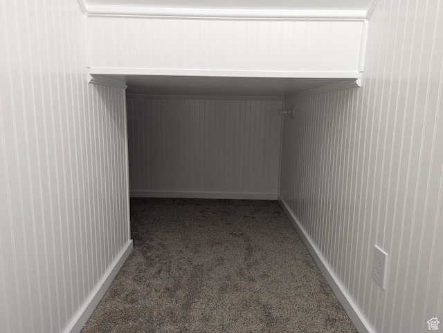 walk in closet featuring carpet flooring