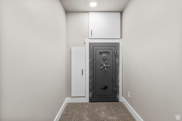 930 N 90 W, Santaquin, UT 84655 - detailed view of baseboards and carpet floors