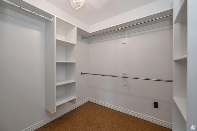 14046 S Emmeline Dr, Herriman, UT 84096 - walk in closet featuring carpet