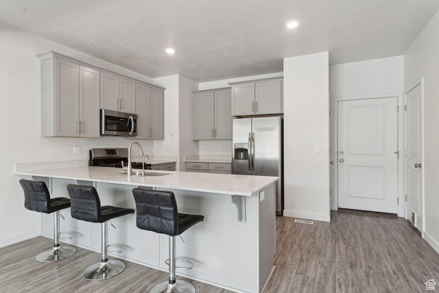 3714 W Soft Whisper Way, Herriman, UT 84096 - kitchen featuring stainless steel appliances, gray cabinets, wood finished floors, a peninsula, and a textured ceiling