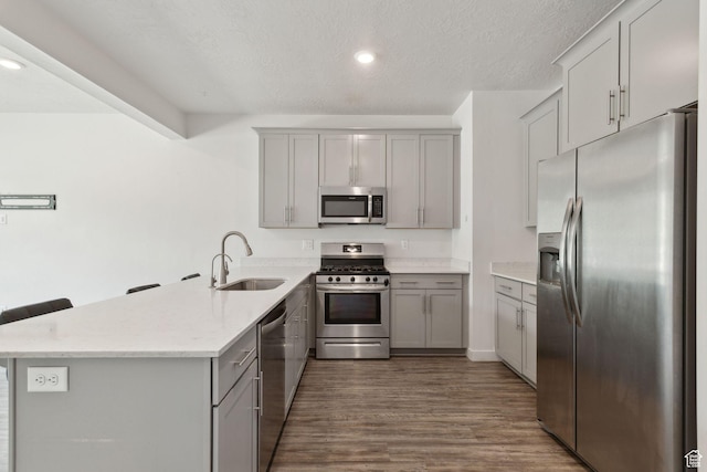 3714 W Soft Whisper Way, Herriman, UT 84096 - kitchen featuring stainless steel appliances, a sink, gray cabinets, a peninsula, and dark wood-style floors