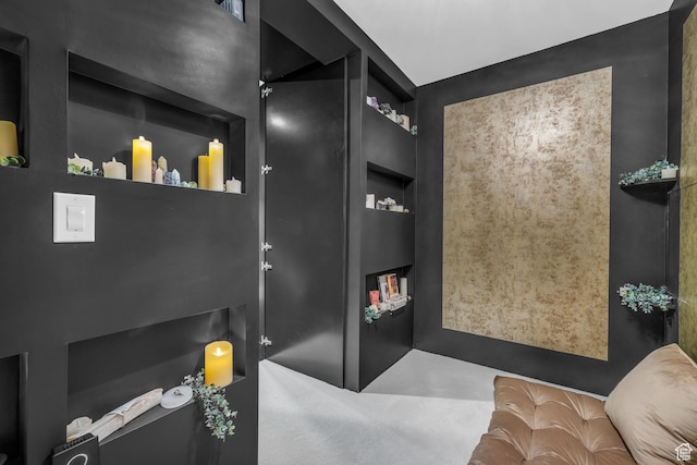 54 N B St, Salt Lake City, UT 84103 - bathroom featuring built in shelves