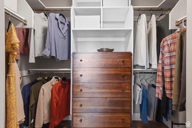 view of spacious closet