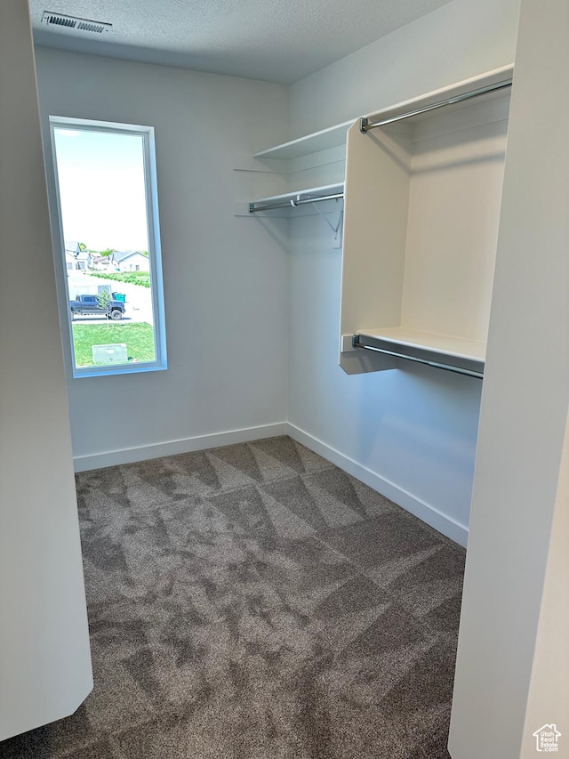 spacious closet with carpet